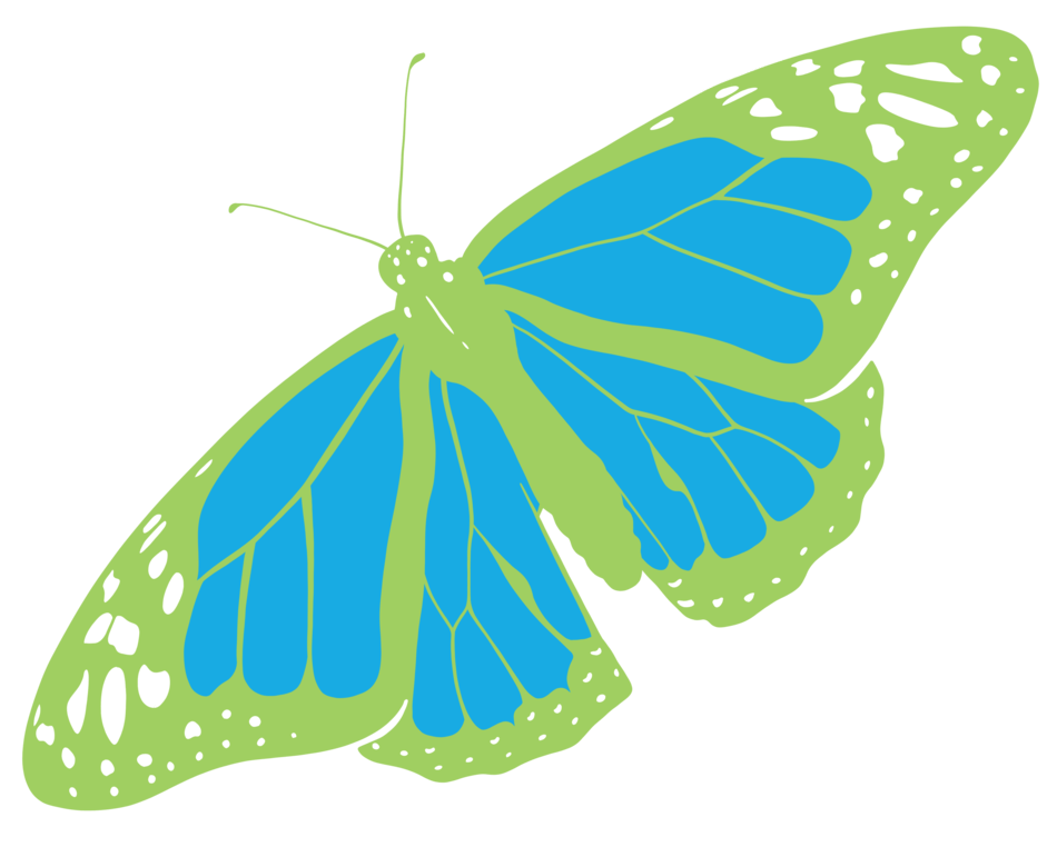 Green And Blue Butterfly