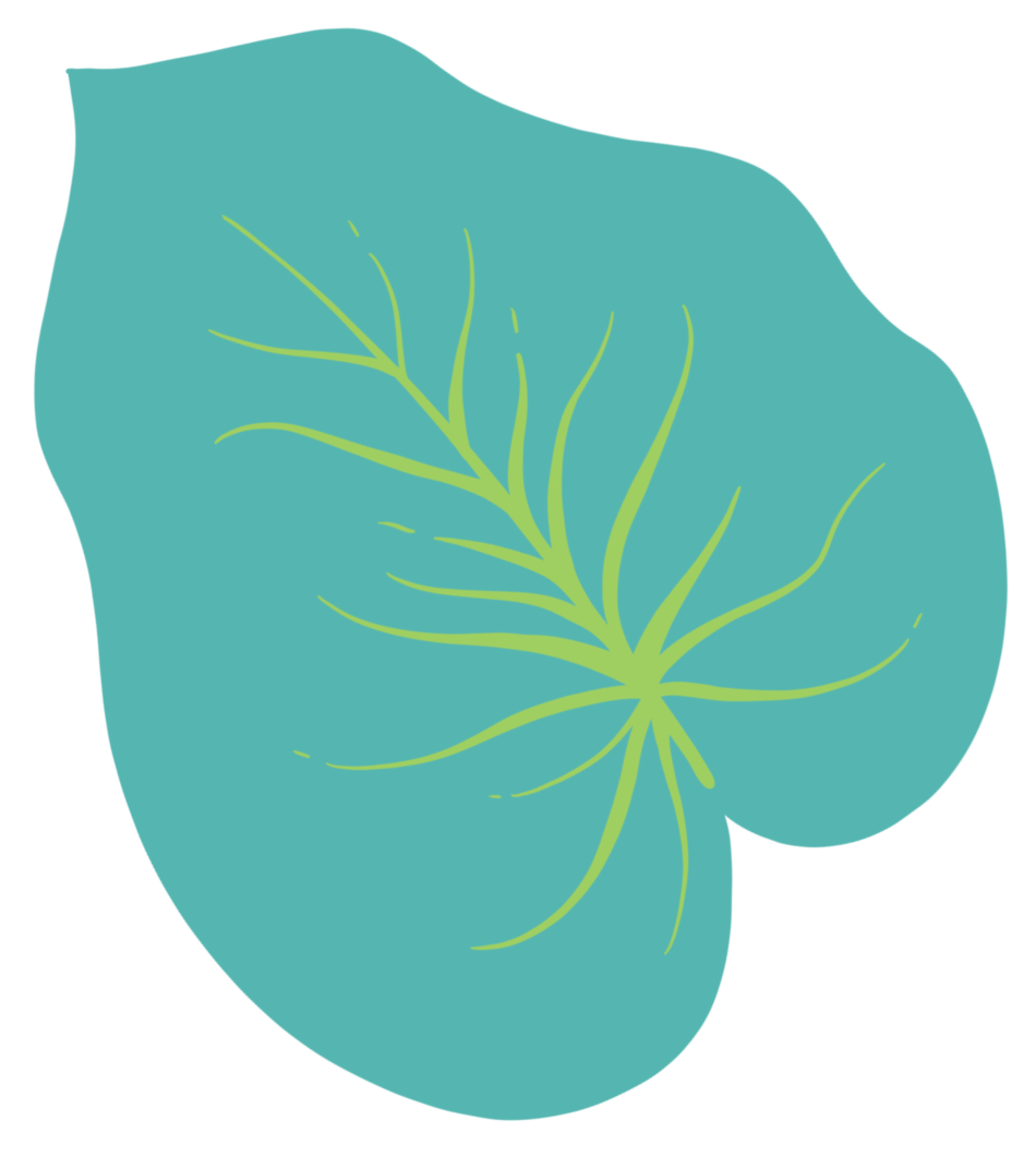 Teal leaf