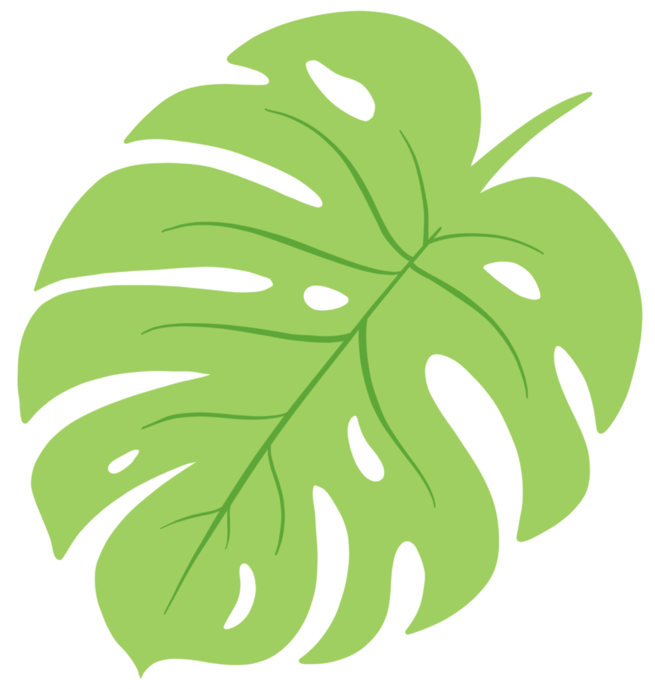 Grean Palm Leaf