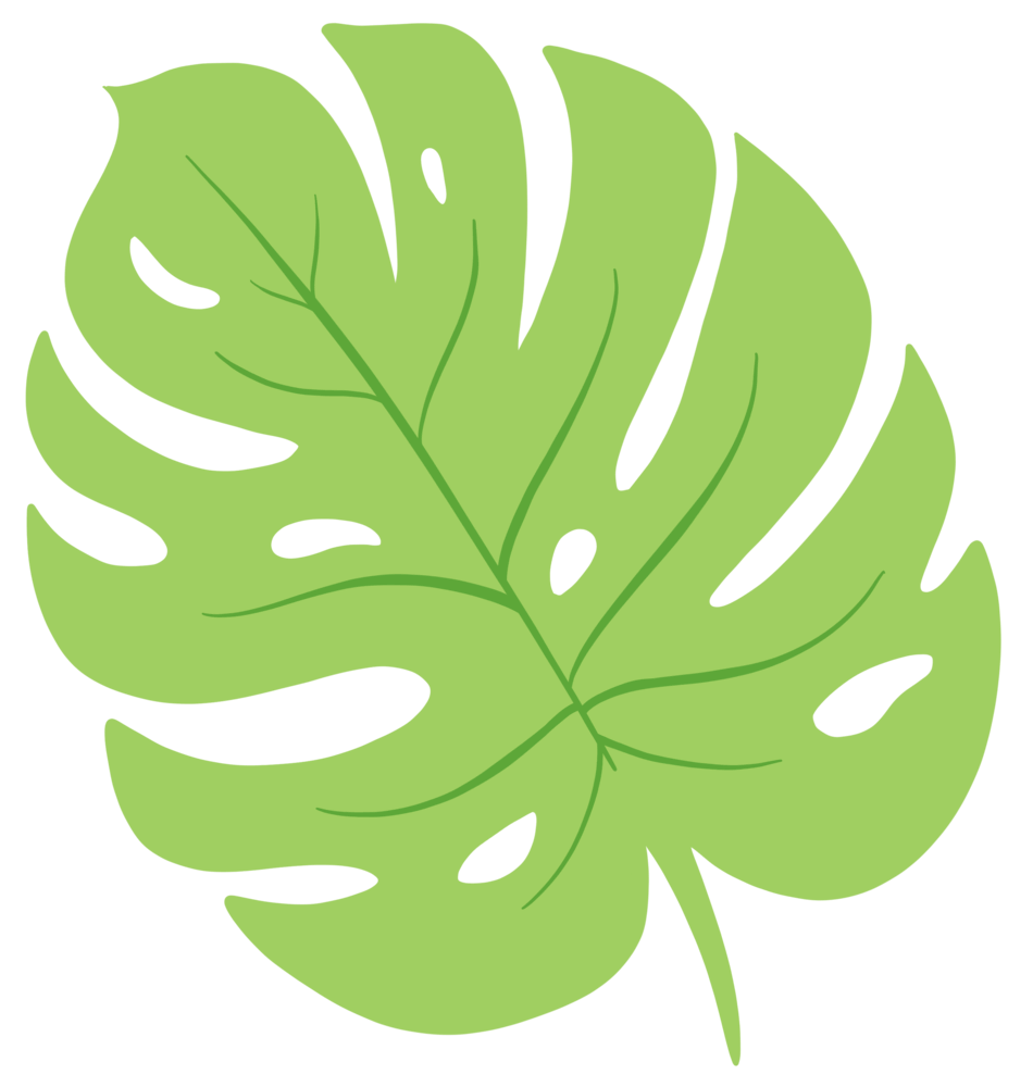 Green palm leaf